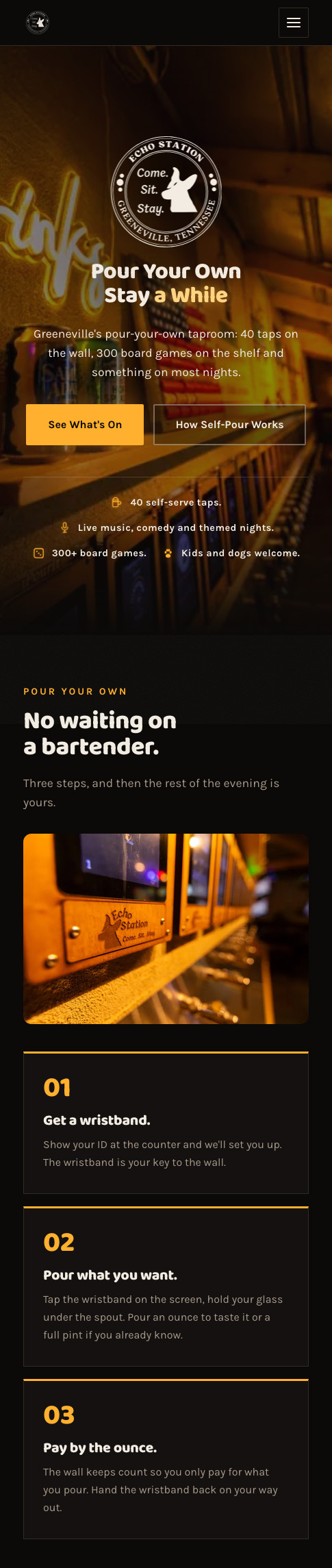 The Echo Station homepage on a phone
